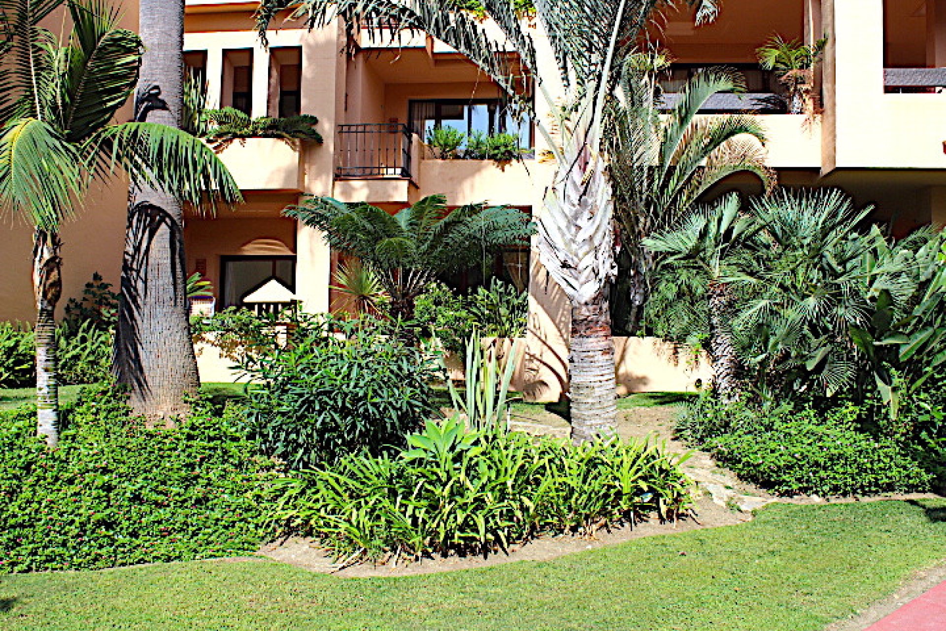 Resale - Apartment - Ground Floor Apartment - Marbella - San Pedro De Alcantara