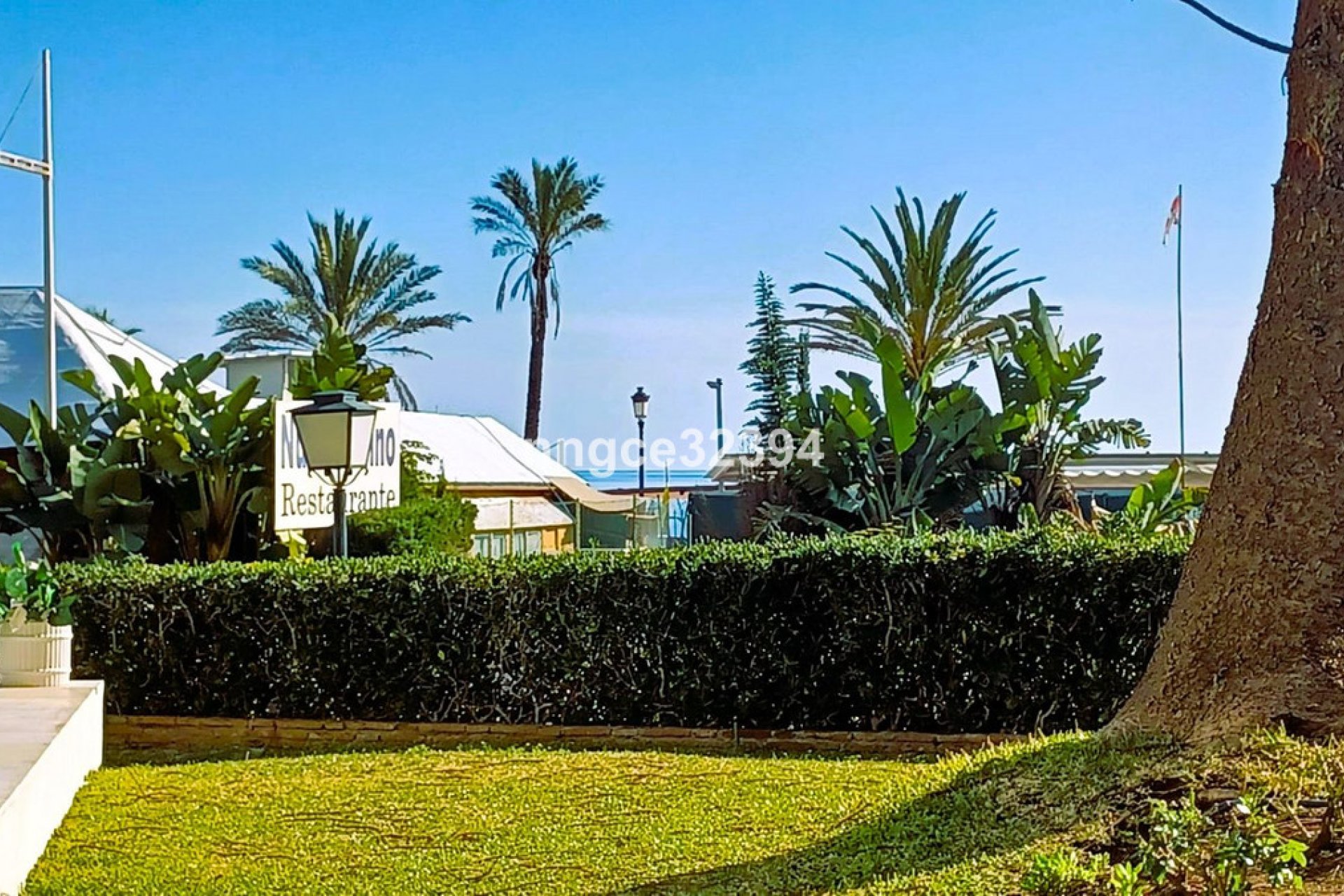 Resale - Apartment - Ground Floor Apartment - Marbella - San Pedro De Alcantara