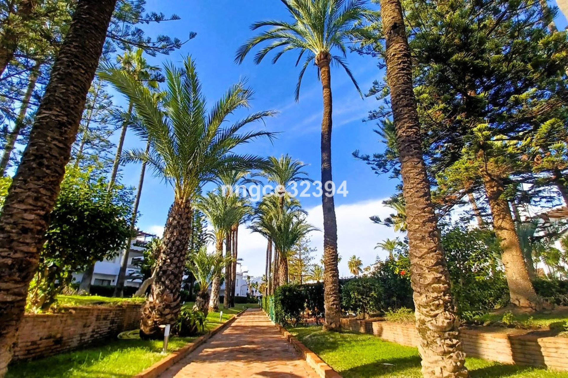 Resale - Apartment - Ground Floor Apartment - Marbella - San Pedro De Alcantara