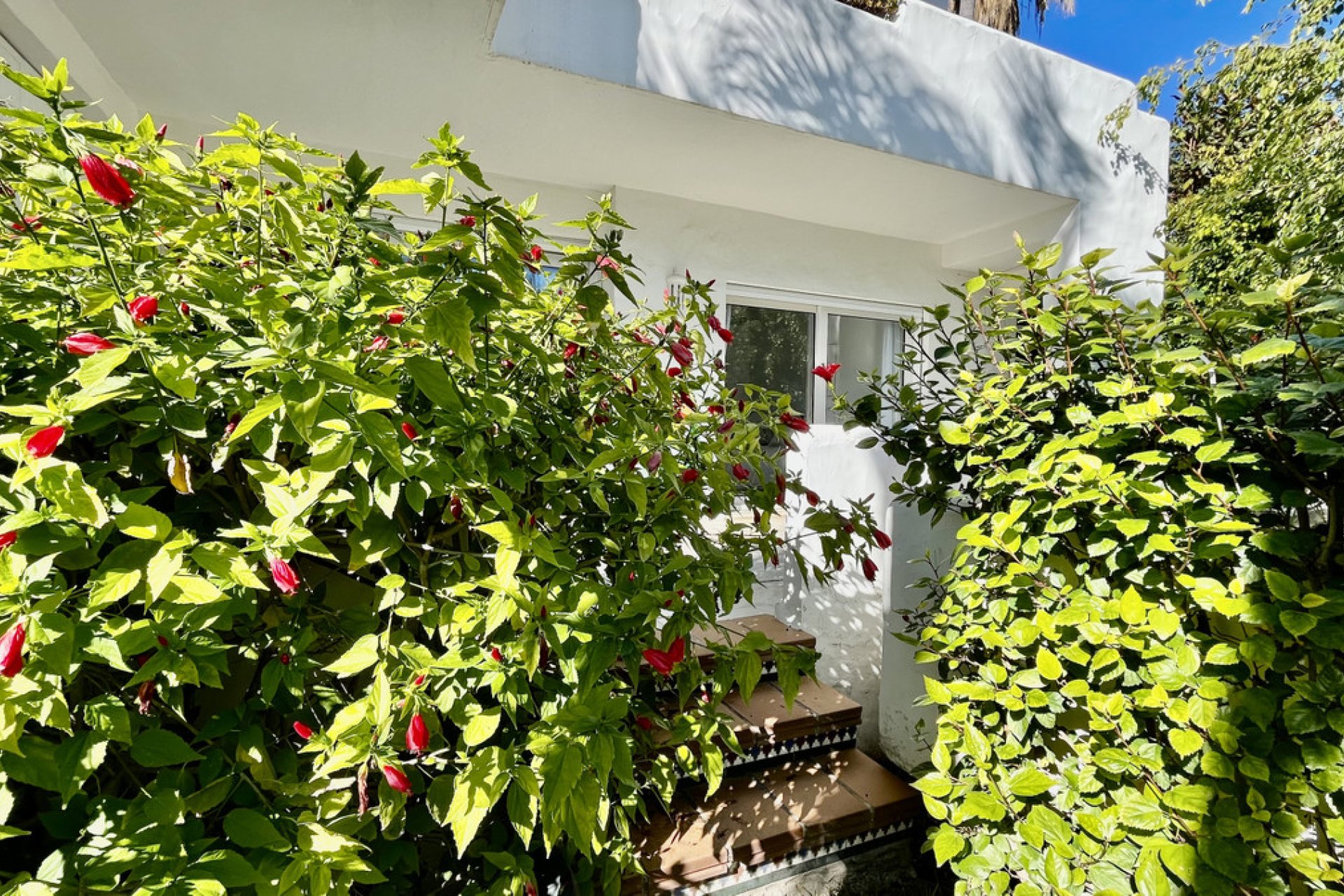 Resale - Apartment - Ground Floor Apartment - Marbella - The Golden Mile