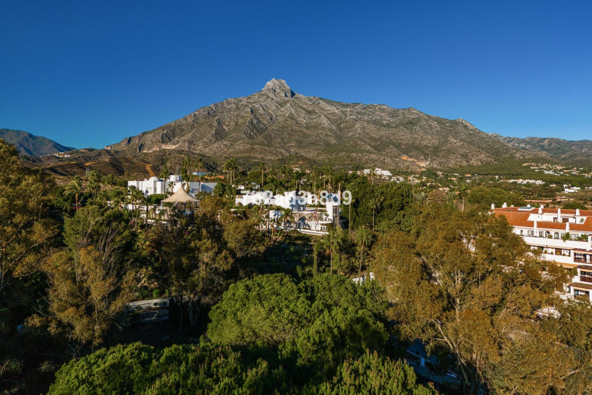 Resale - Apartment - Ground Floor Apartment - Marbella - The Golden Mile