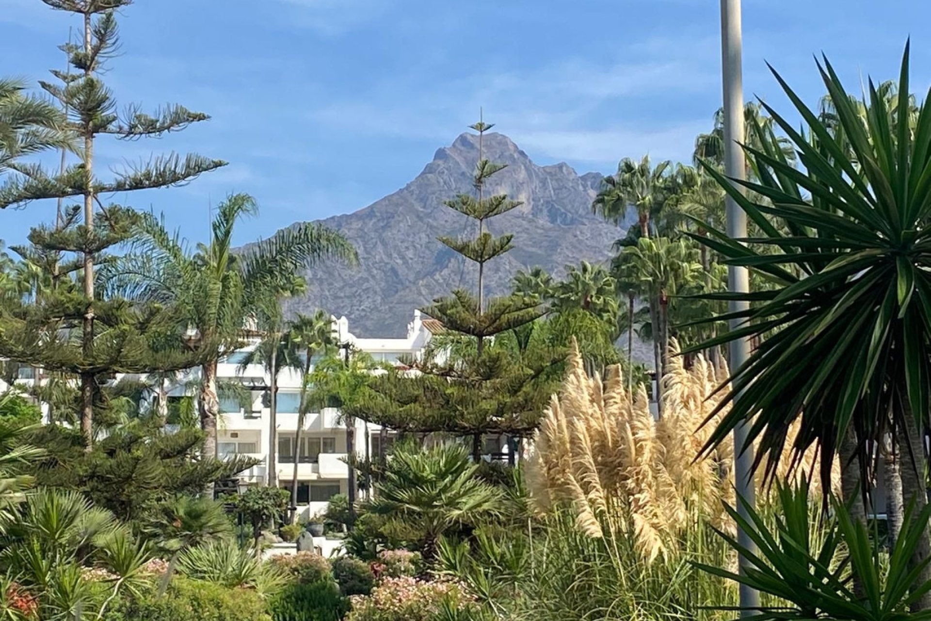 Resale - Apartment - Ground Floor Apartment - Marbella