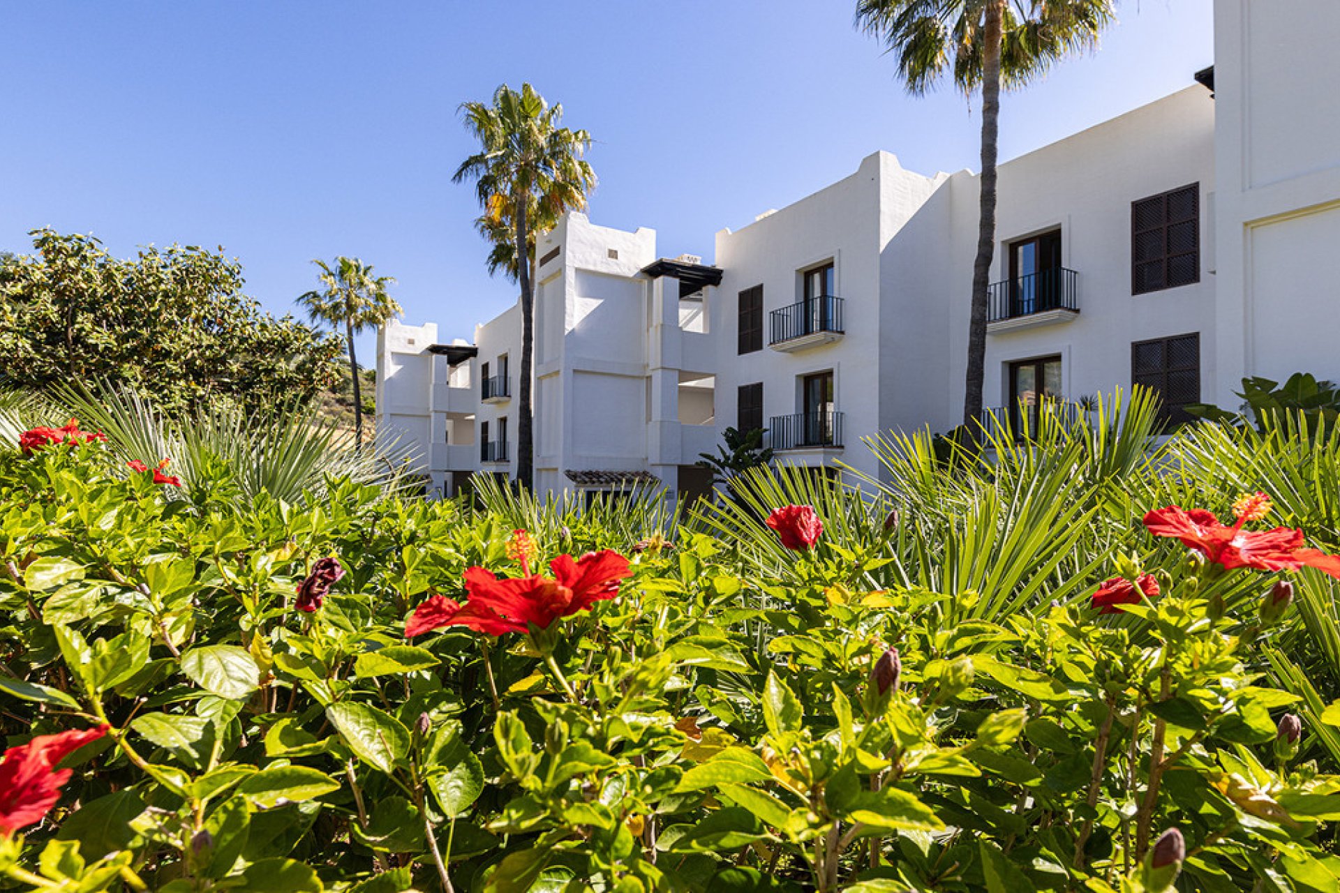 Resale - Apartment - Middle Floor Apartment - Casares - Casares Centro