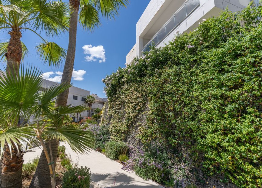 Resale - Apartment - Middle Floor Apartment - Casares - Casares Centro