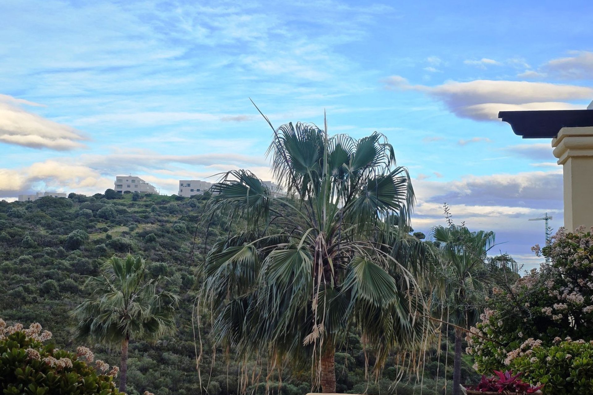 Resale - Apartment - Middle Floor Apartment - Casares - Casares Centro