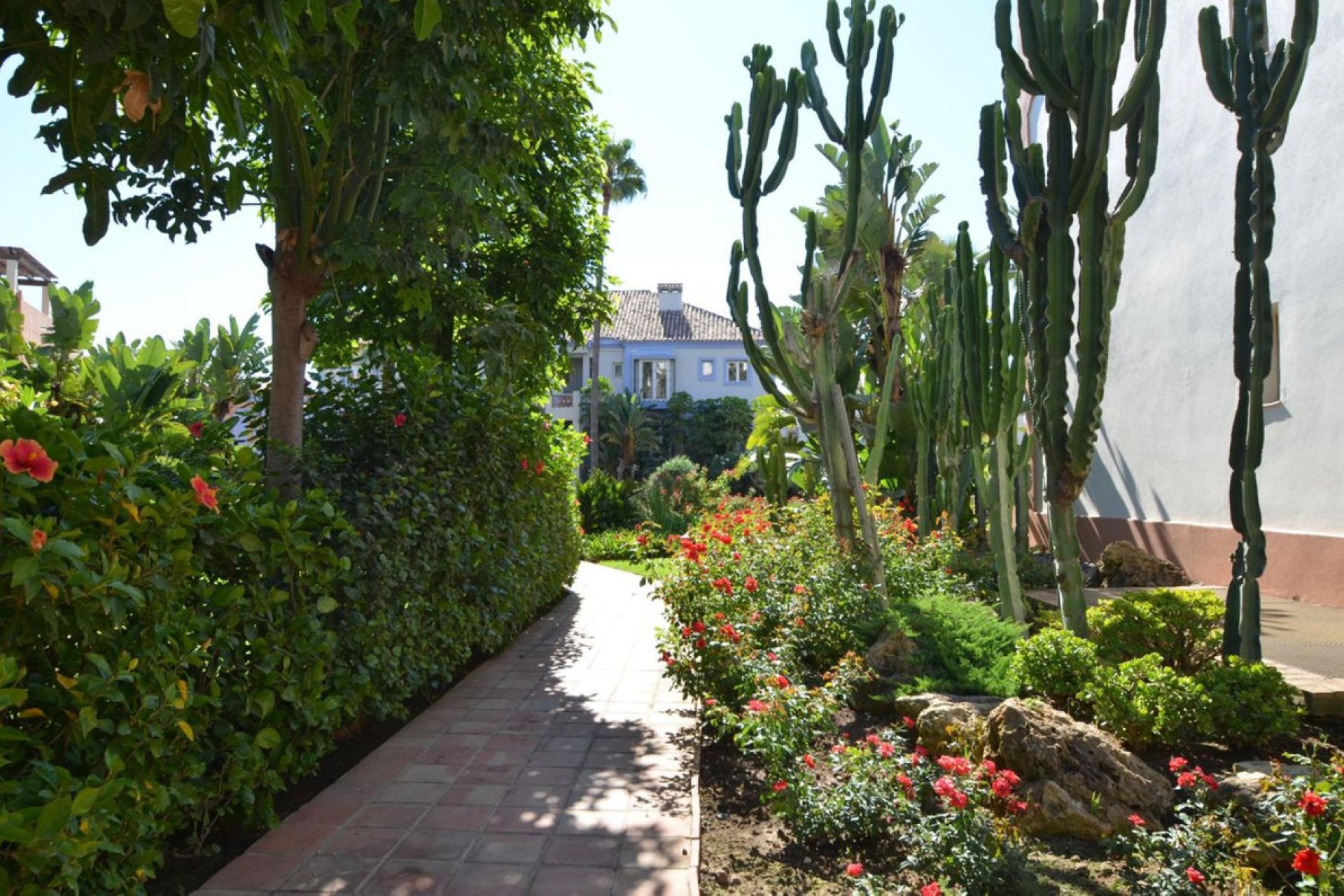 Resale - Apartment - Middle Floor Apartment - Casares - Casares Playa