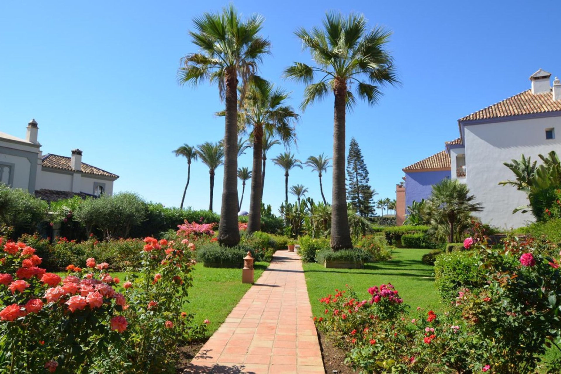 Resale - Apartment - Middle Floor Apartment - Casares - Casares Playa