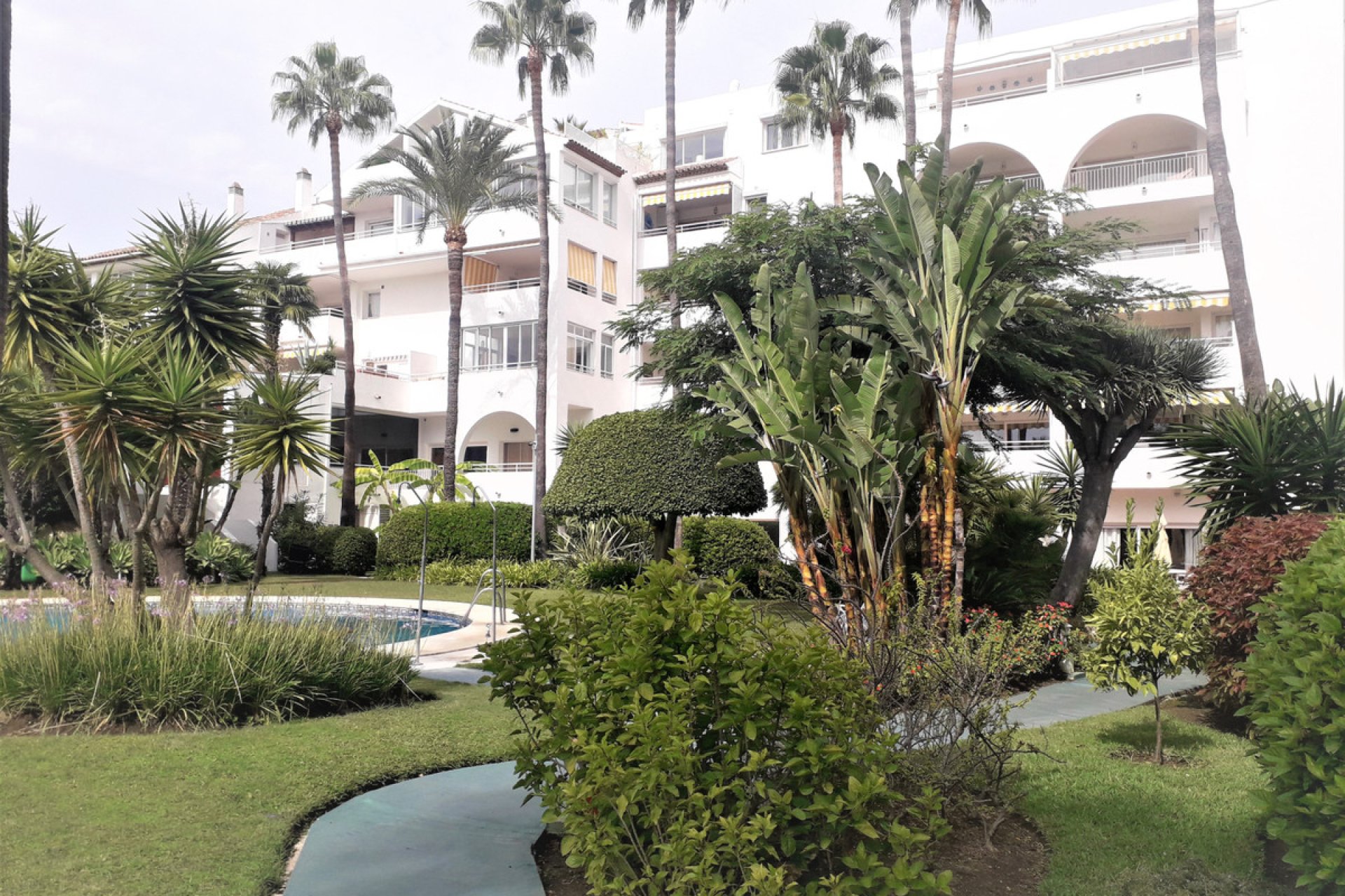 Resale - Apartment - Middle Floor Apartment - Estepona - Atalaya