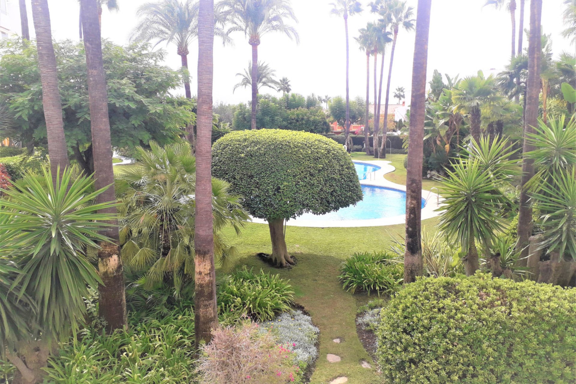 Resale - Apartment - Middle Floor Apartment - Estepona - Atalaya