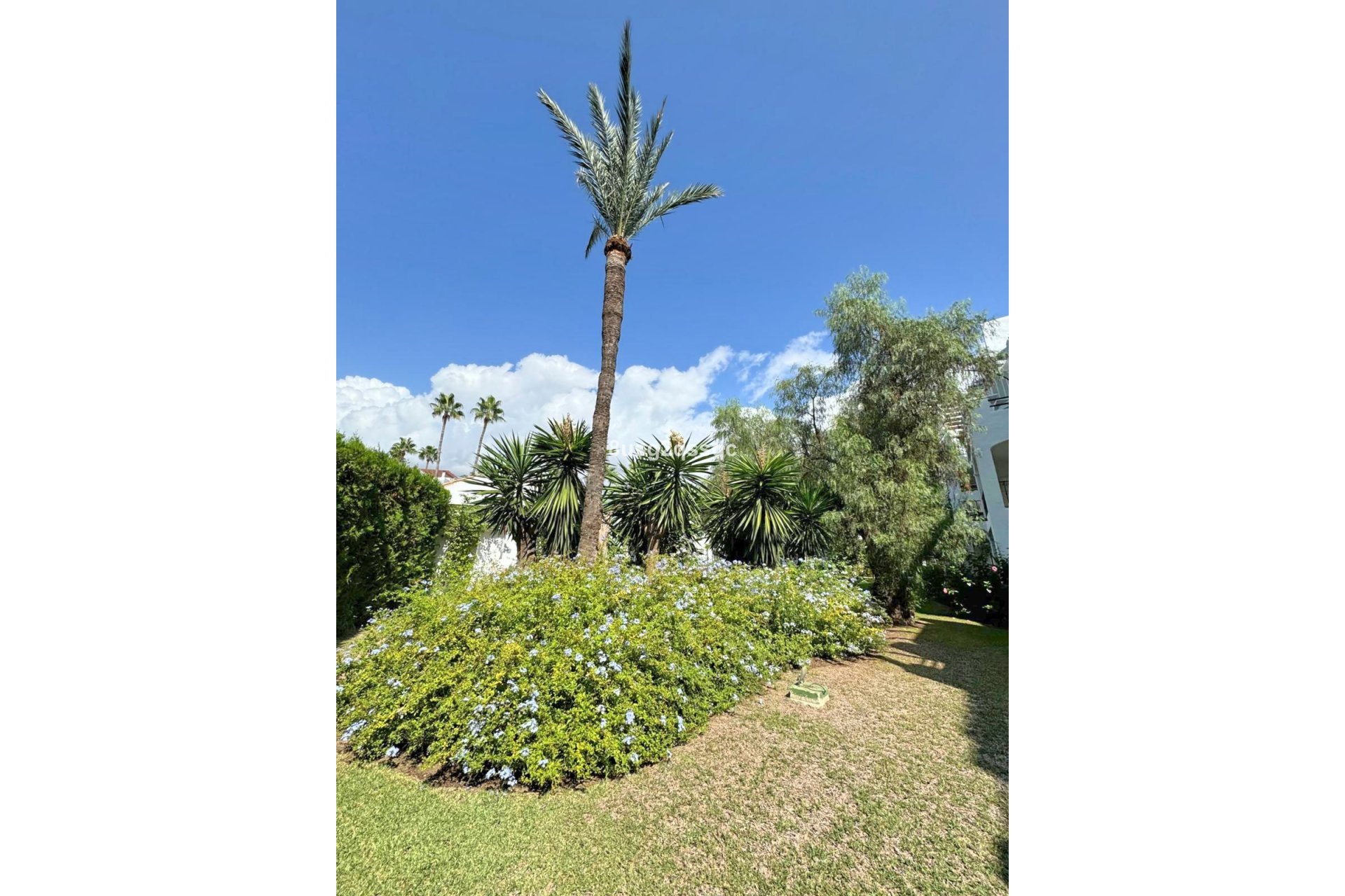 Resale - Apartment - Middle Floor Apartment - Estepona - Costalita