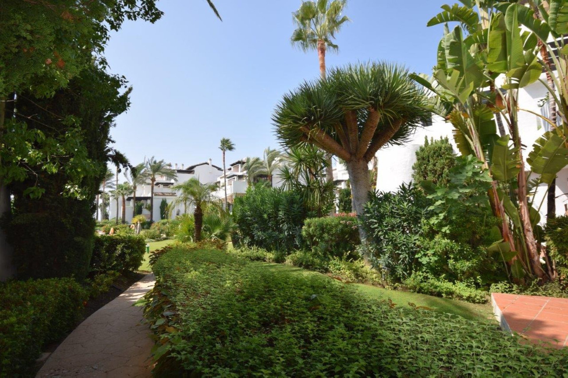 Resale - Apartment - Middle Floor Apartment - Estepona - Costalita