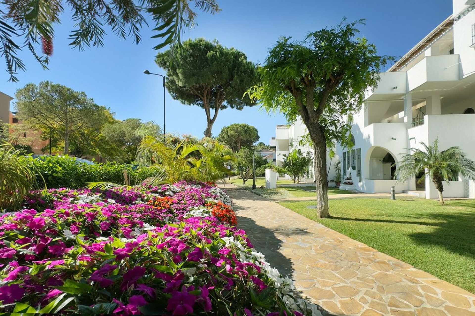 Resale - Apartment - Middle Floor Apartment - Estepona - Estepona Centro