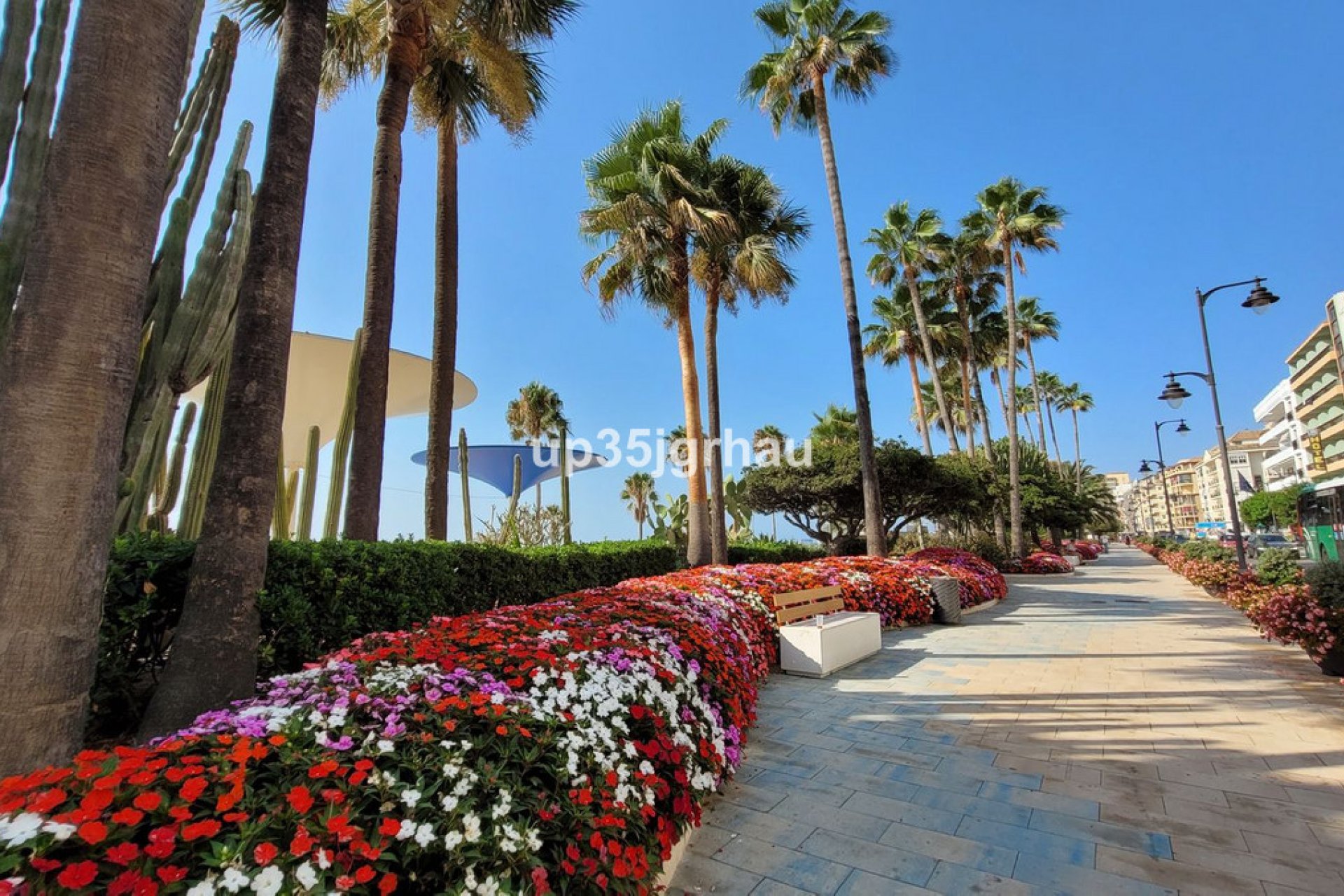 Resale - Apartment - Middle Floor Apartment - Estepona - Estepona Centro