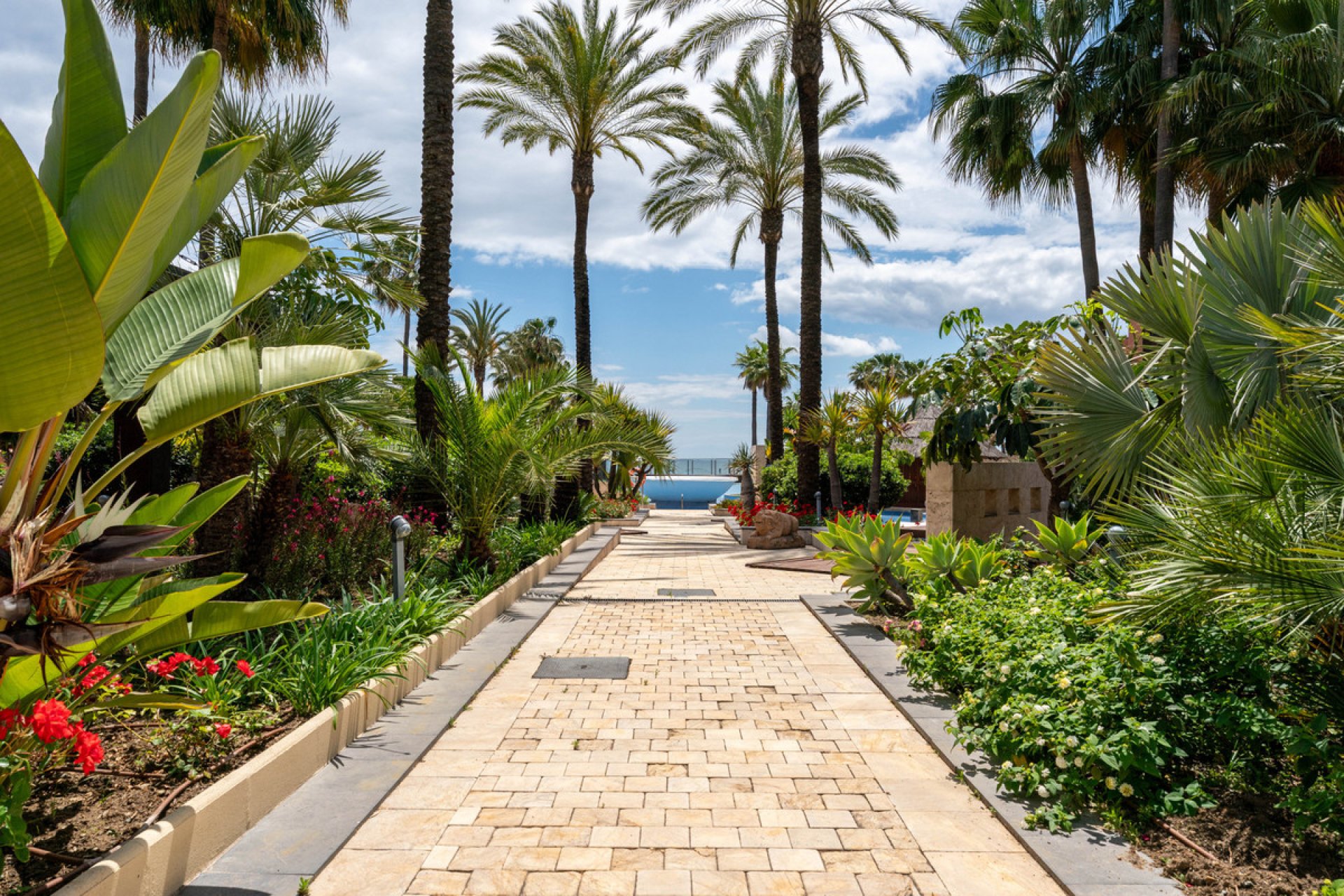 Resale - Apartment - Middle Floor Apartment - Estepona - Estepona Centro