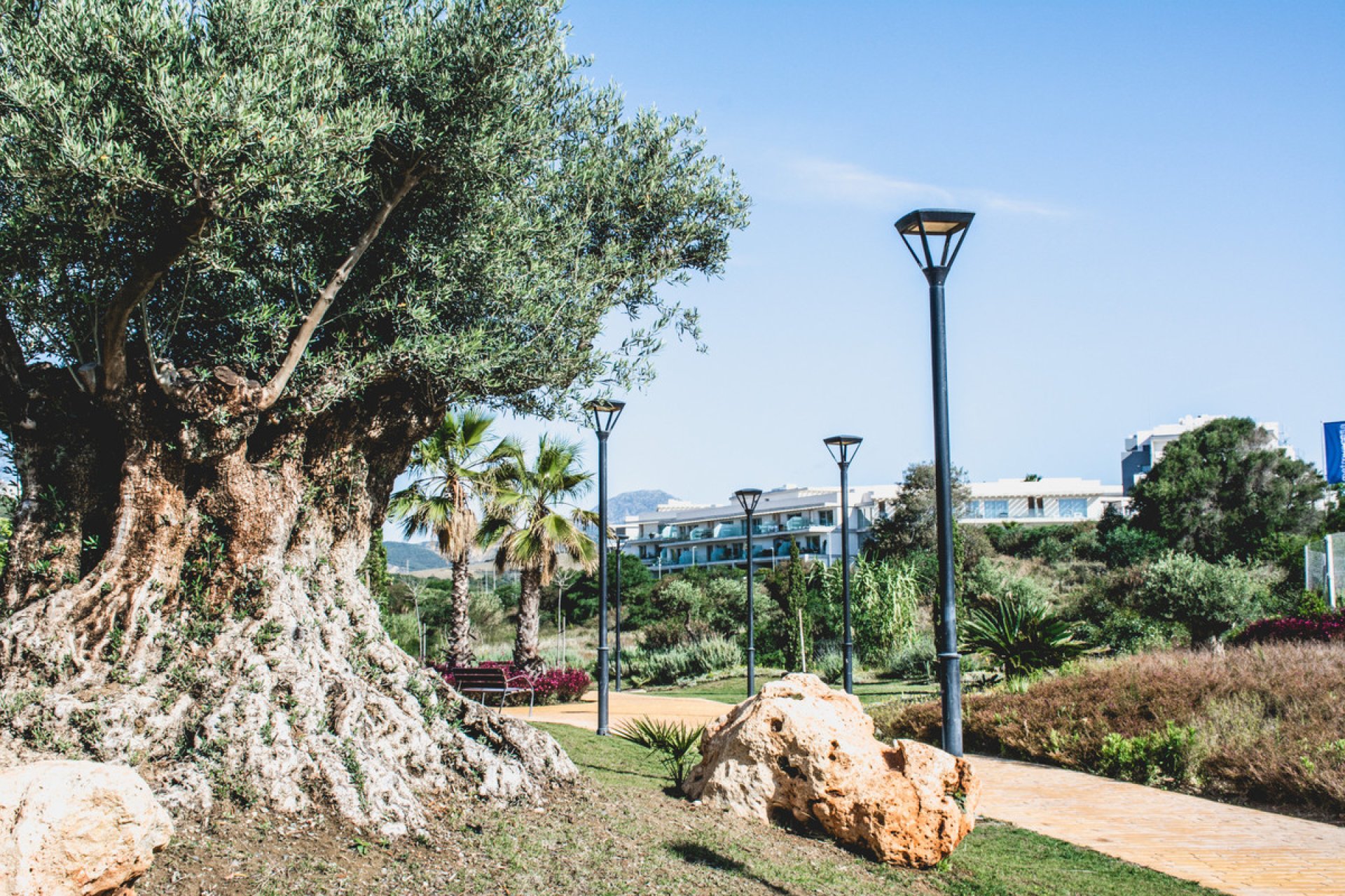 Resale - Apartment - Middle Floor Apartment - Estepona - Estepona Centro