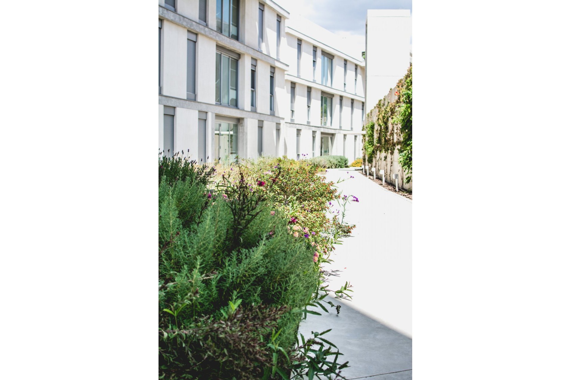 Resale - Apartment - Middle Floor Apartment - Estepona - Estepona Centro