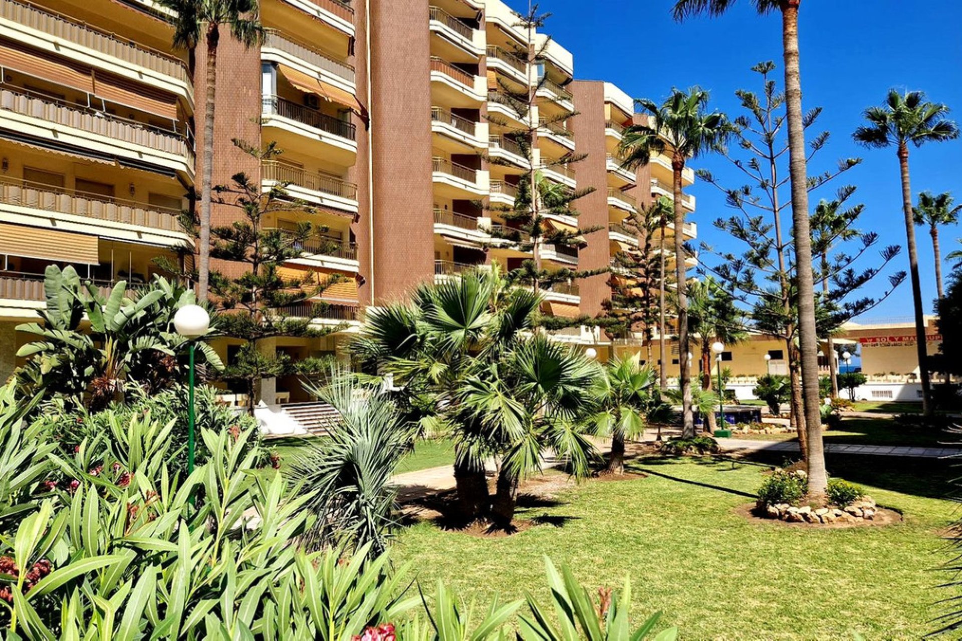 Resale - Apartment - Middle Floor Apartment - Fuengirola - Fuengirola Centro