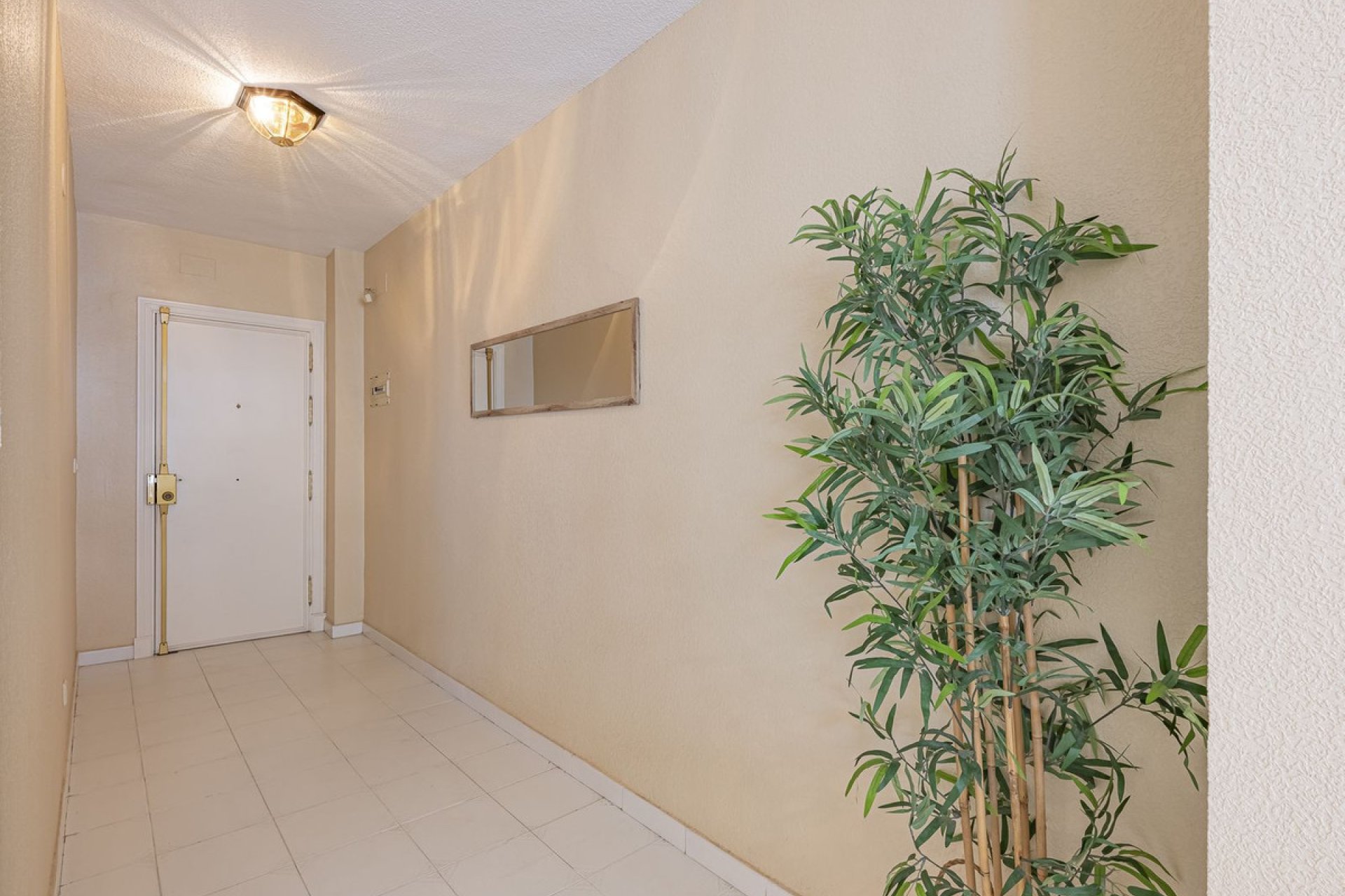 Resale - Apartment - Middle Floor Apartment - Fuengirola - Fuengirola Centro