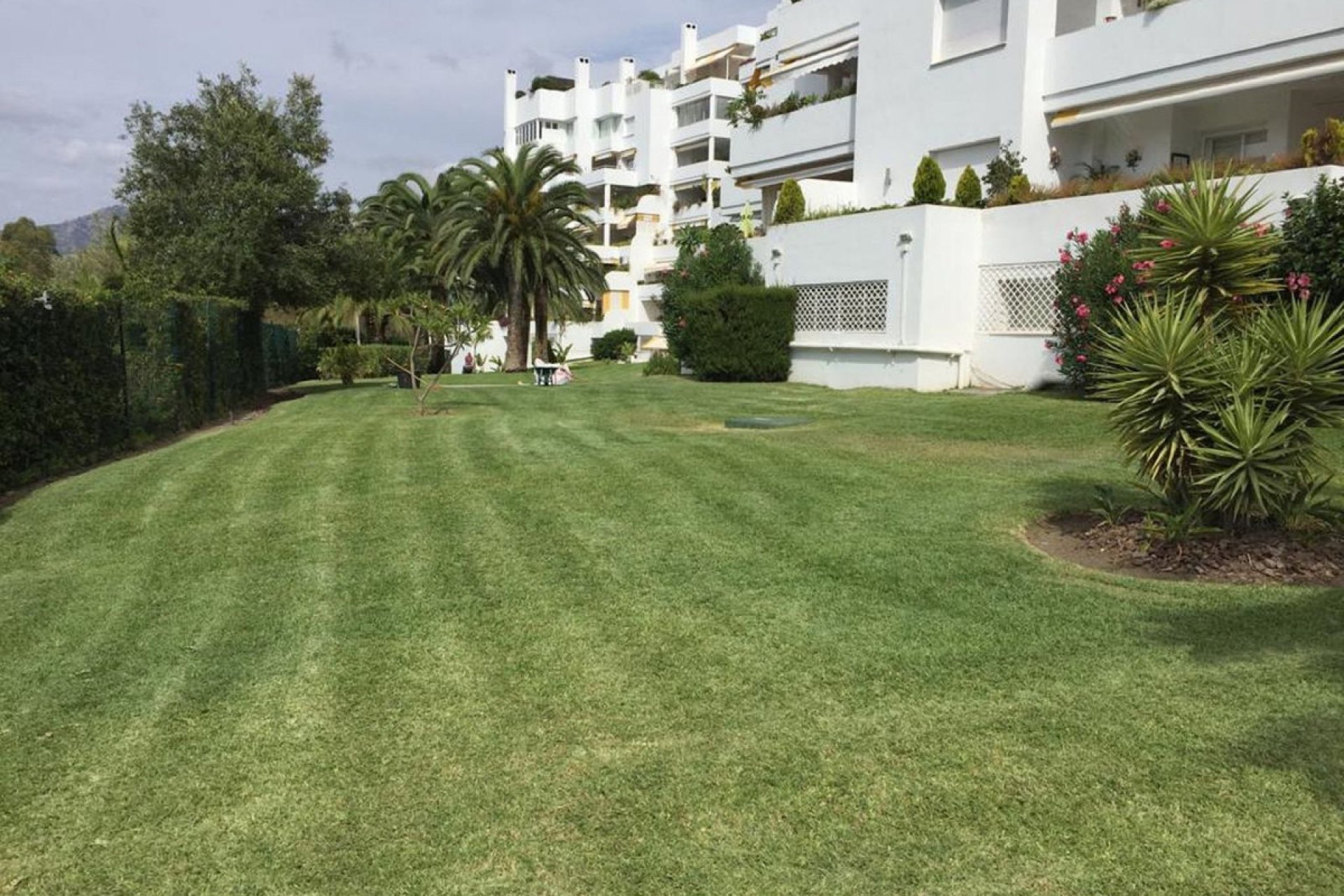 Resale - Apartment - Middle Floor Apartment - Marbella - Guadalmina Alta