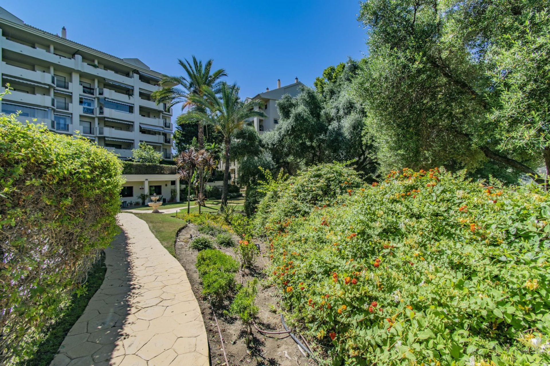 Resale - Apartment - Middle Floor Apartment - Marbella - Guadalmina Alta