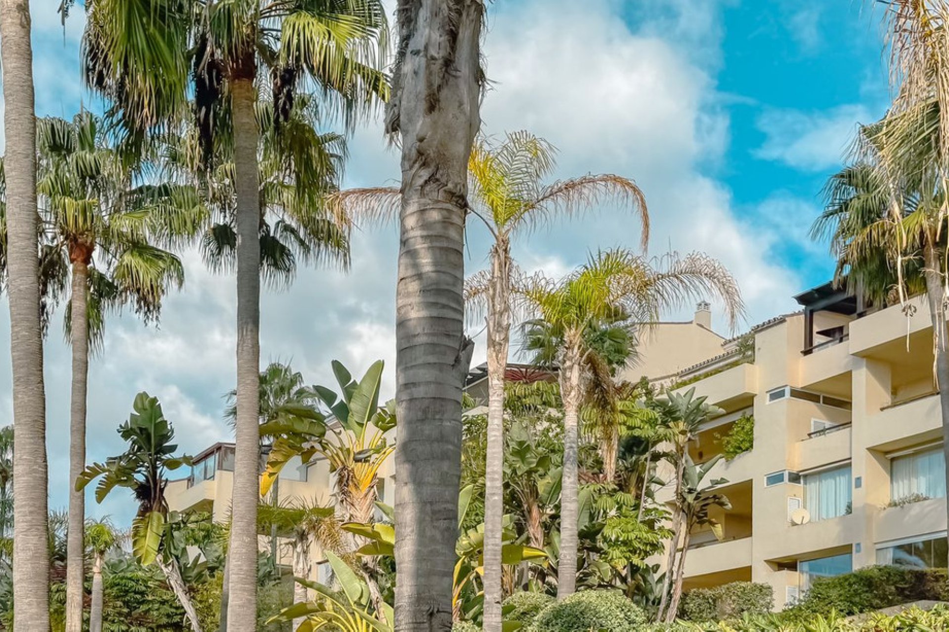 Resale - Apartment - Middle Floor Apartment - Marbella - Las Brisas