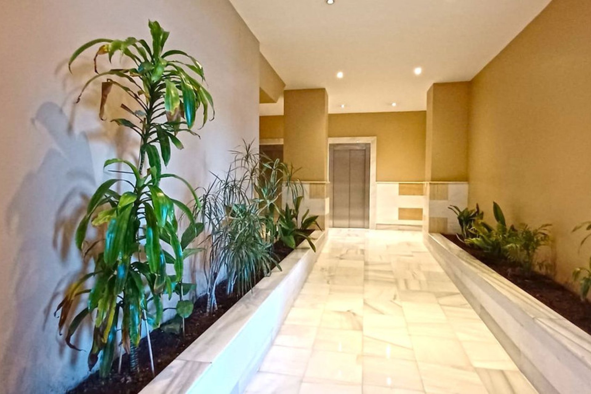 Resale - Apartment - Middle Floor Apartment - Marbella - Marbella Centro