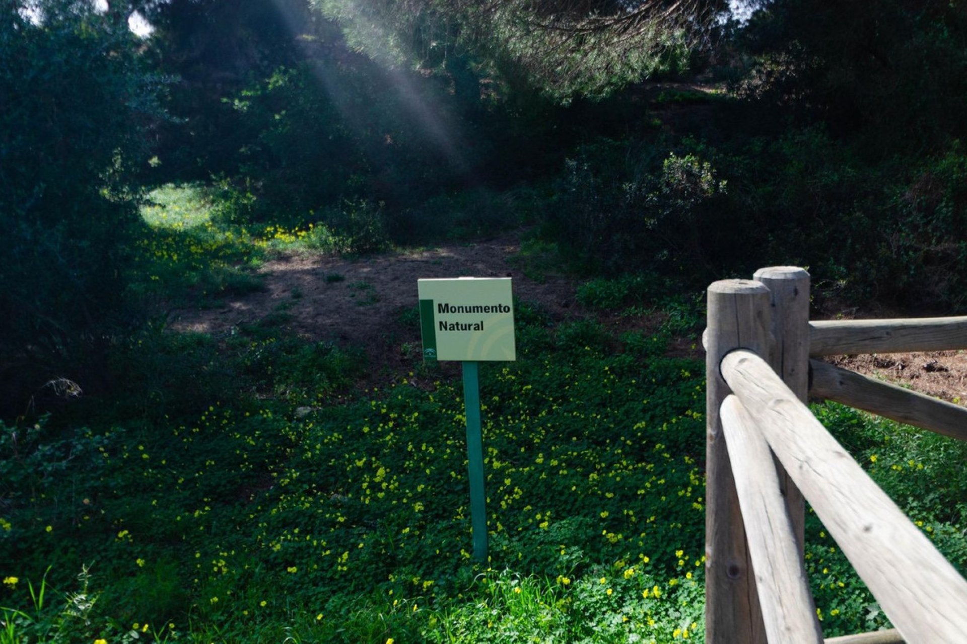 Resale - Apartment - Middle Floor Apartment - Marbella - Marbella Centro