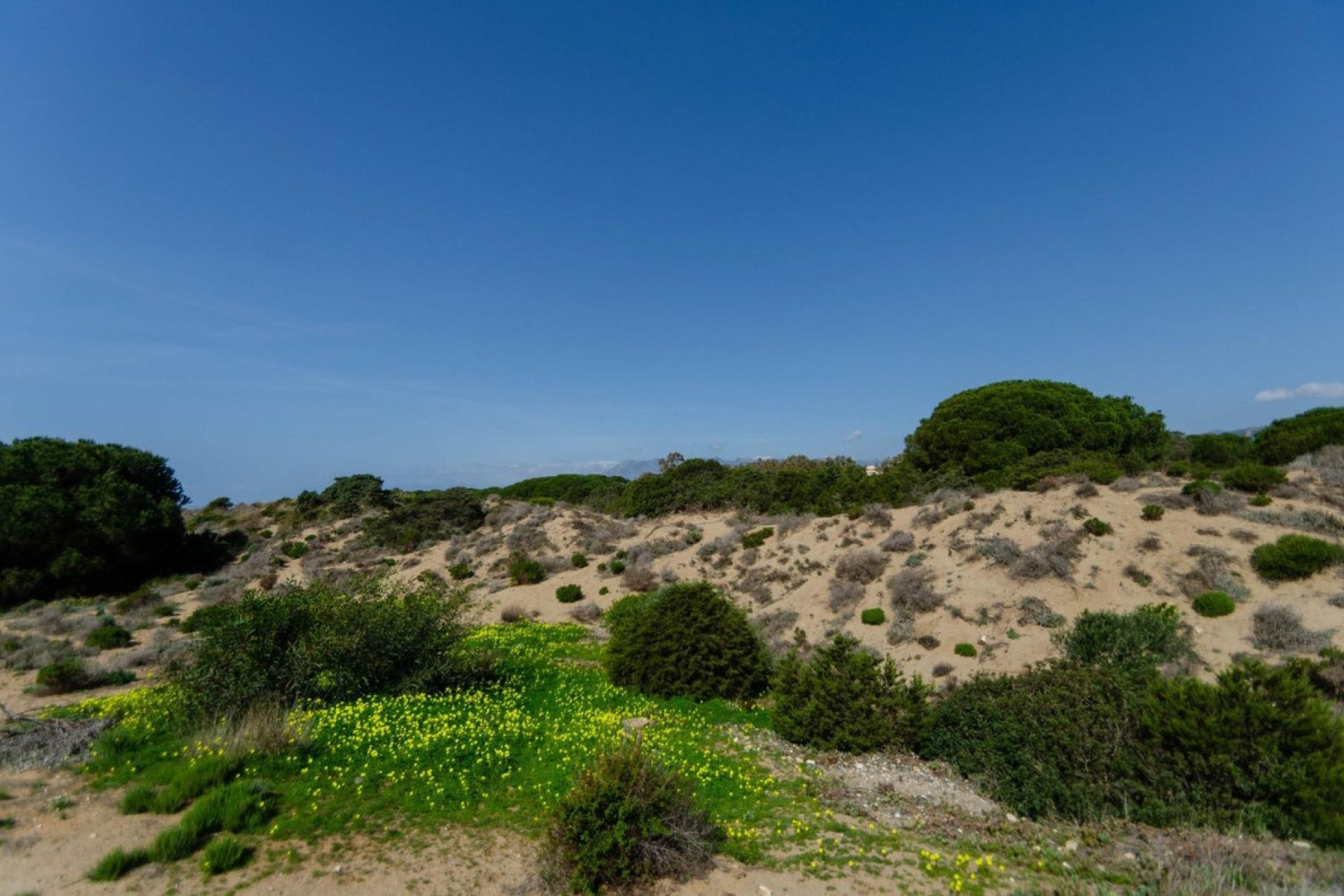 Resale - Apartment - Middle Floor Apartment - Marbella - Marbella Centro