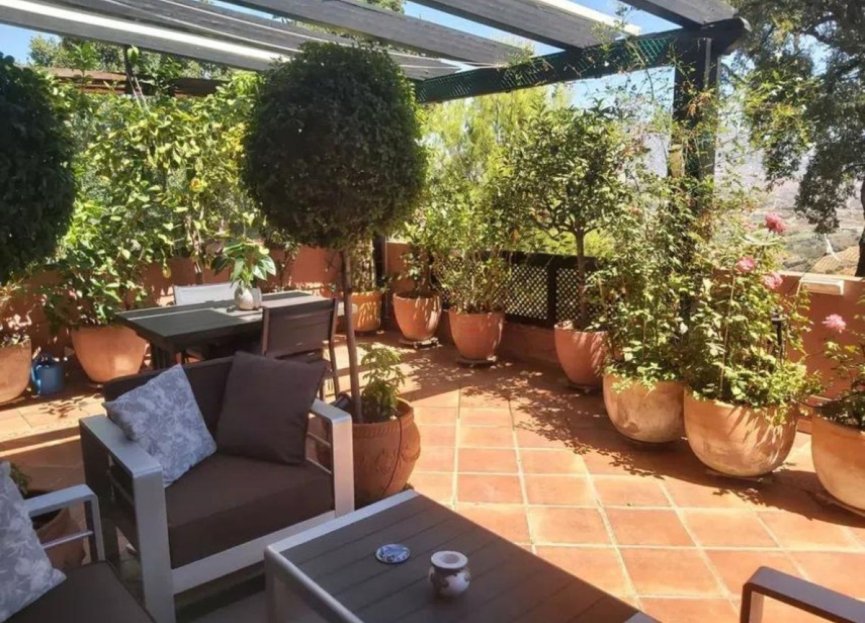 Resale - Apartment - Middle Floor Apartment - Marbella - Marbella Centro