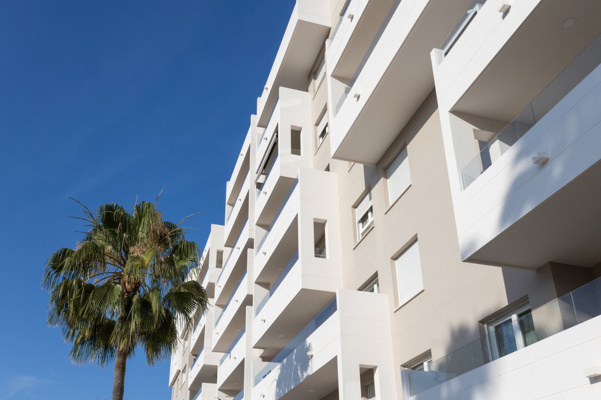 Resale - Apartment - Middle Floor Apartment - Marbella - Nueva Andalucia