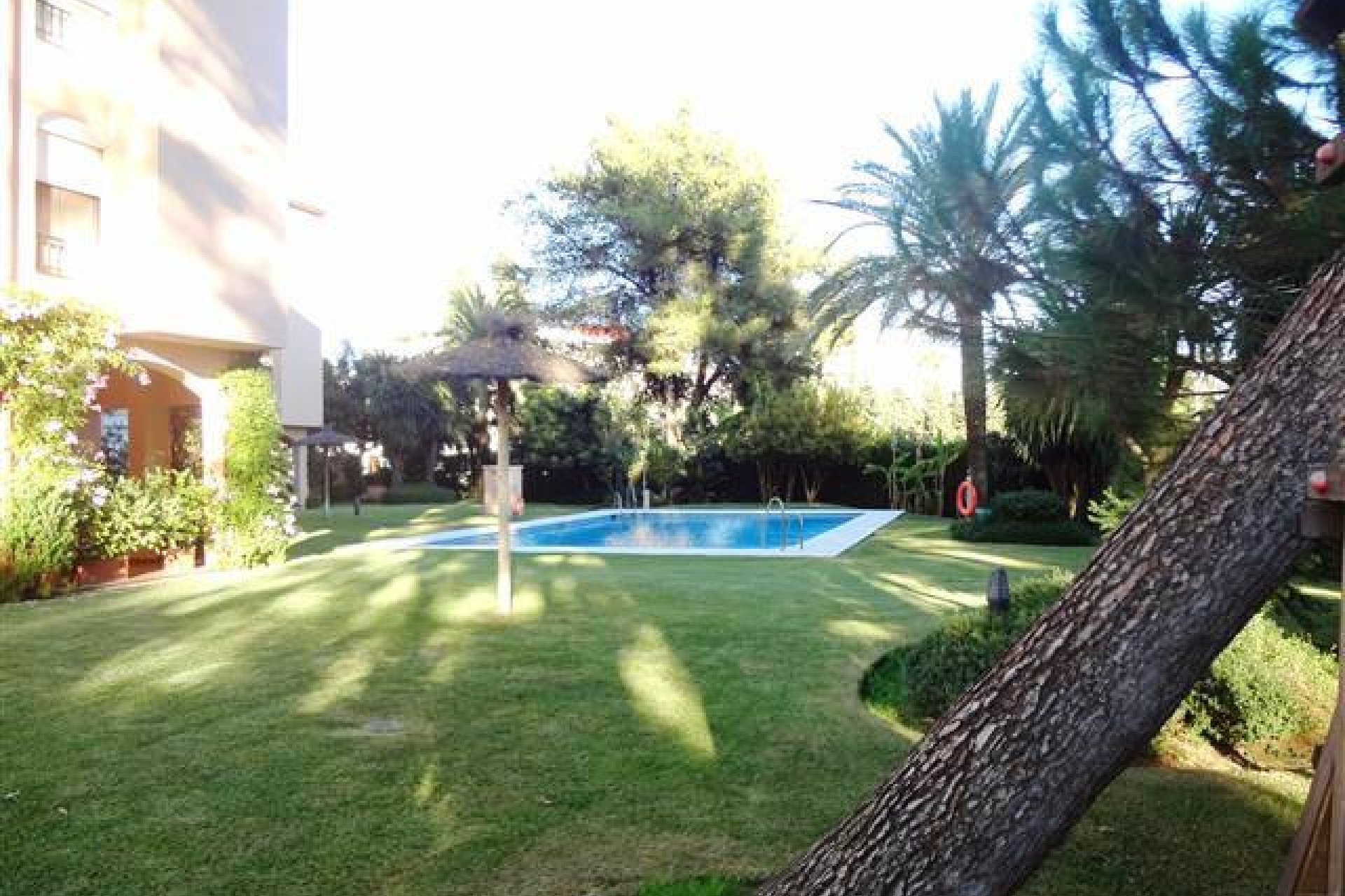 Resale - Apartment - Middle Floor Apartment - Marbella - Nueva Andalucia