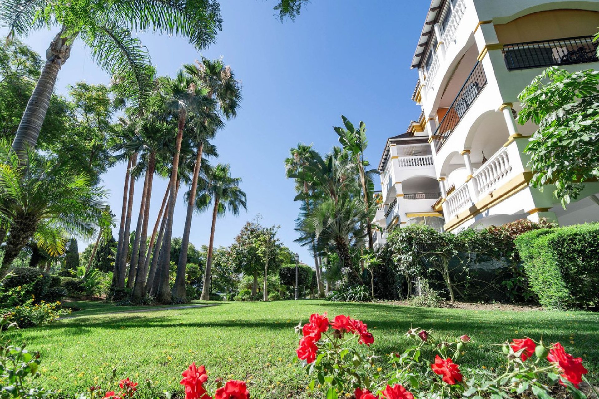 Resale - Apartment - Middle Floor Apartment - Marbella - Nueva Andalucia