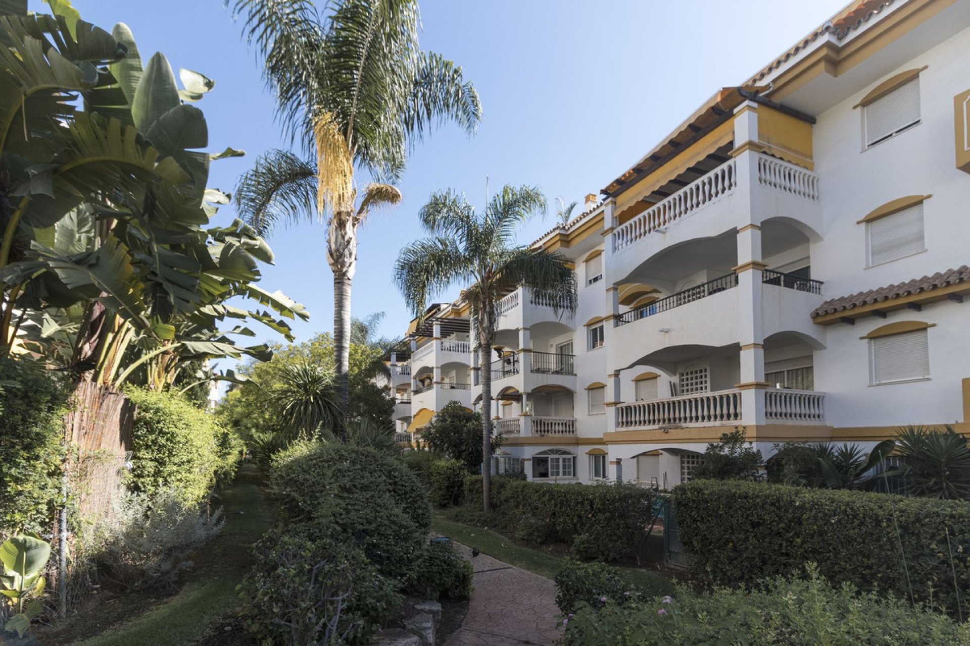 Resale - Apartment - Middle Floor Apartment - Marbella - Nueva Andalucia