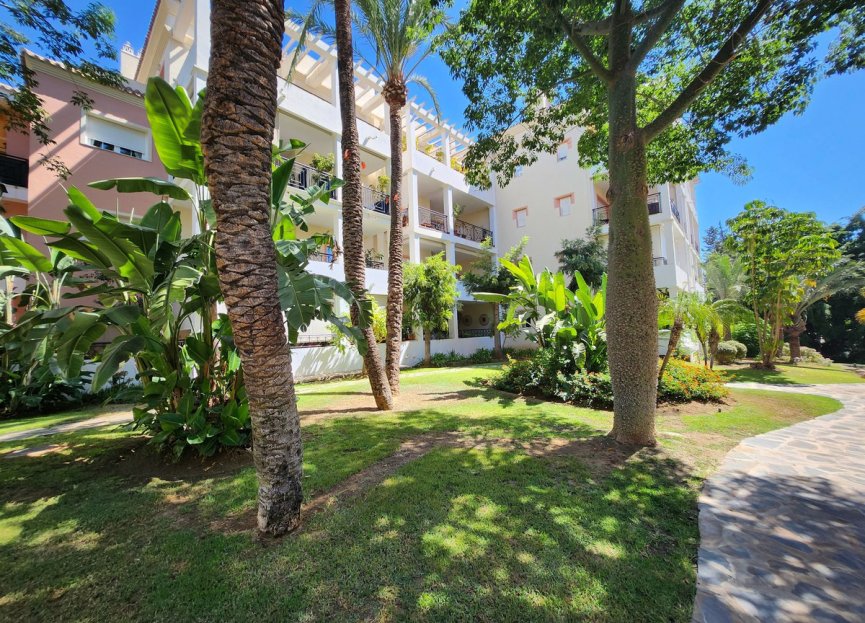 Resale - Apartment - Middle Floor Apartment - Marbella - Nueva Andalucia