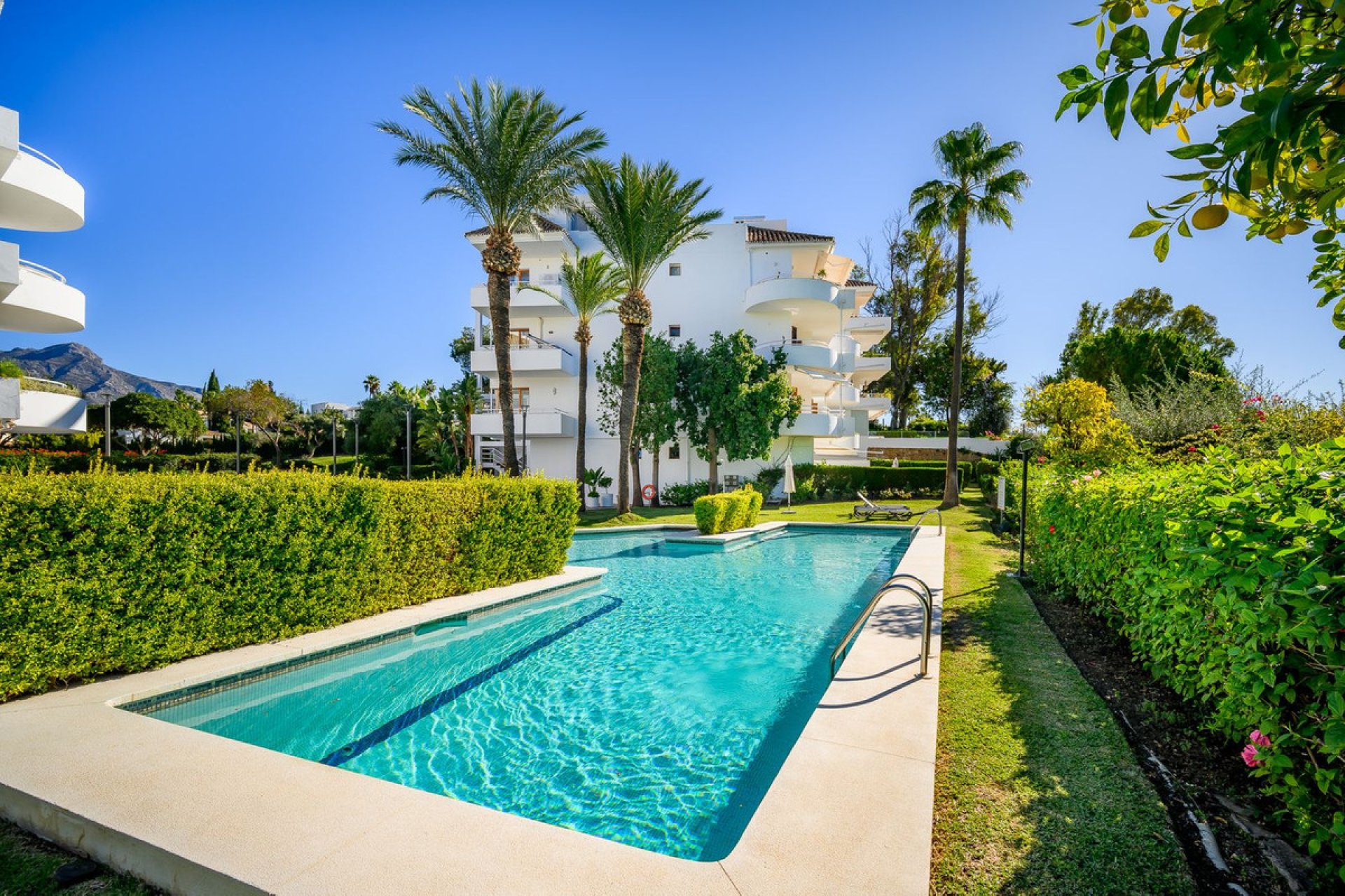 Resale - Apartment - Middle Floor Apartment - Marbella - Nueva Andalucia