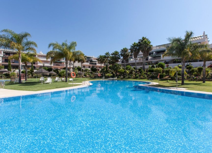 Resale - Apartment - Middle Floor Apartment - Marbella - Nueva Andalucia