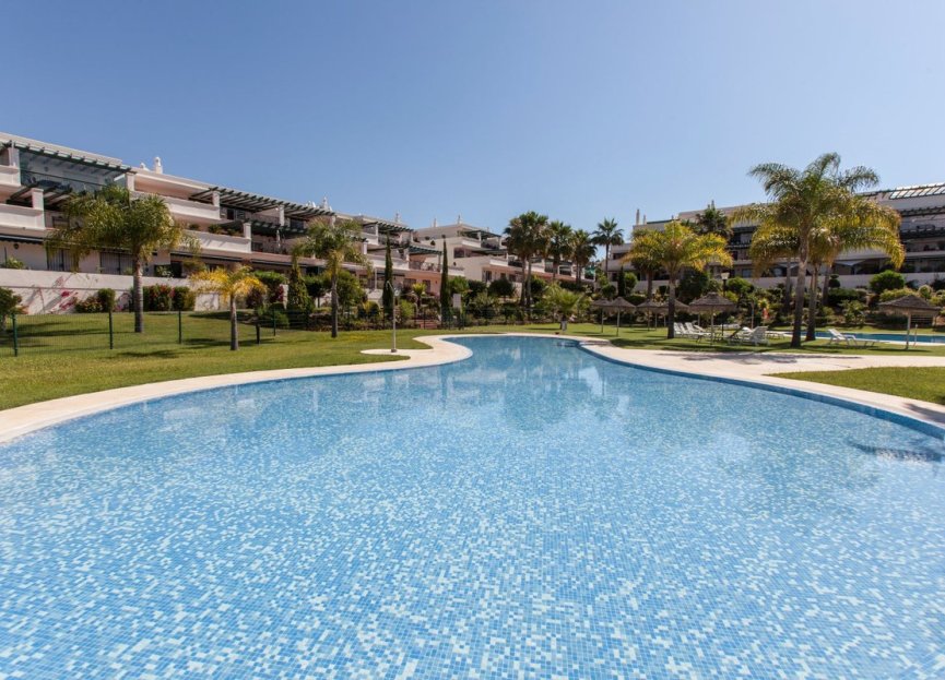 Resale - Apartment - Middle Floor Apartment - Marbella - Nueva Andalucia