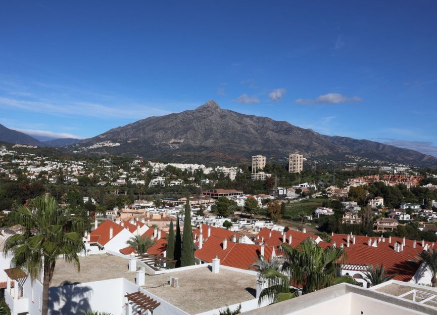 Resale - Apartment - Middle Floor Apartment - Marbella - Nueva Andalucia