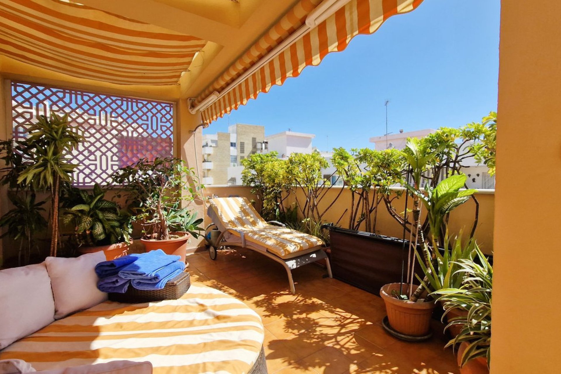 Resale - Apartment - Middle Floor Apartment - Marbella - Nueva Andalucia