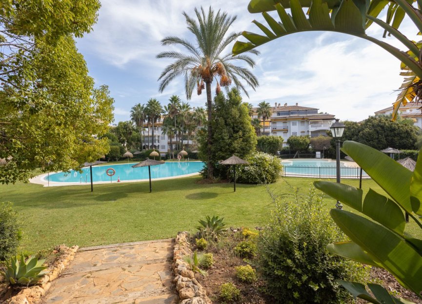 Resale - Apartment - Middle Floor Apartment - Marbella - Nueva Andalucia