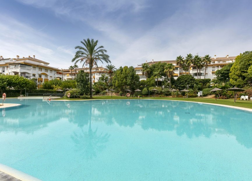 Resale - Apartment - Middle Floor Apartment - Marbella - Nueva Andalucia