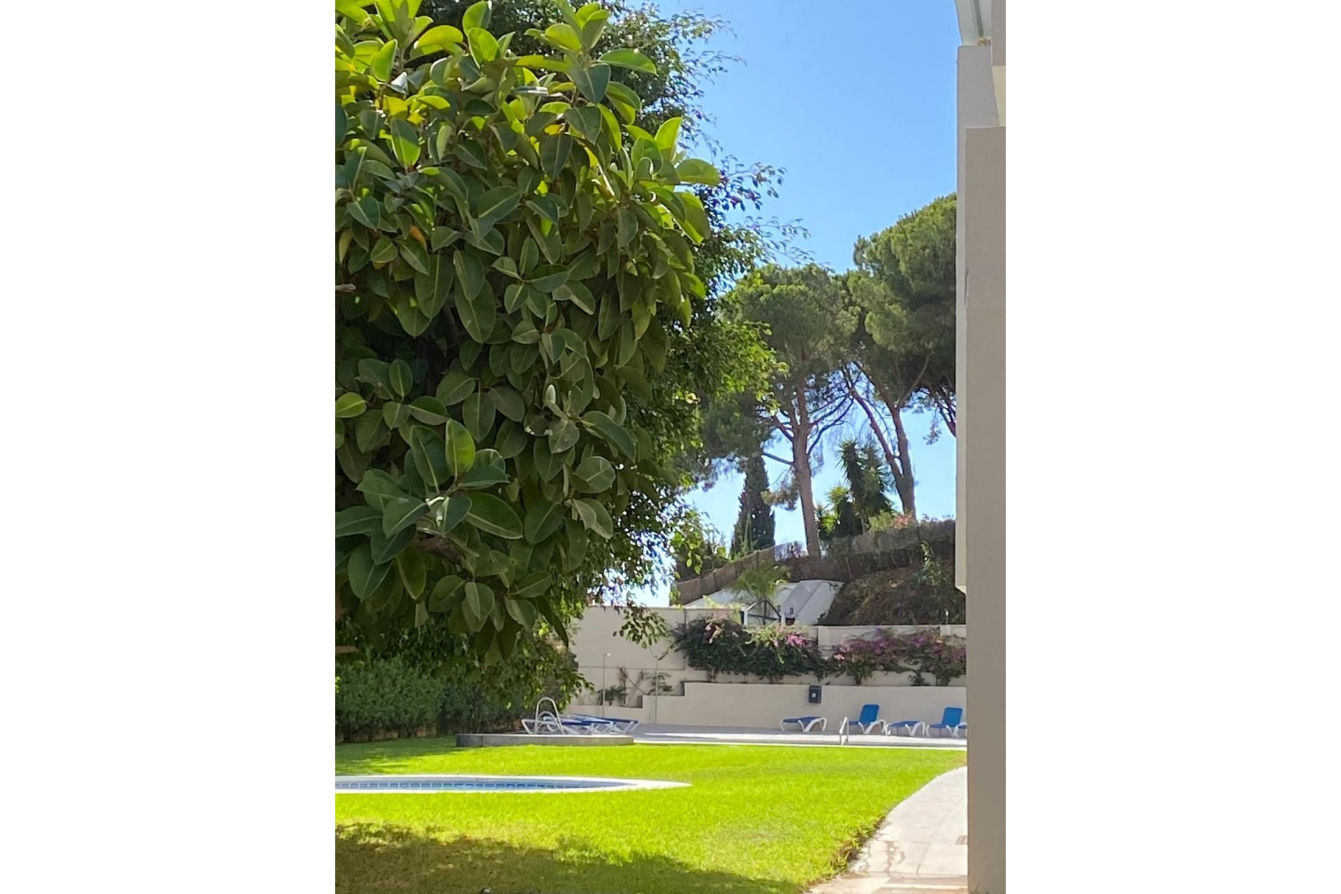 Resale - Apartment - Middle Floor Apartment - Marbella - Nueva Andalucia