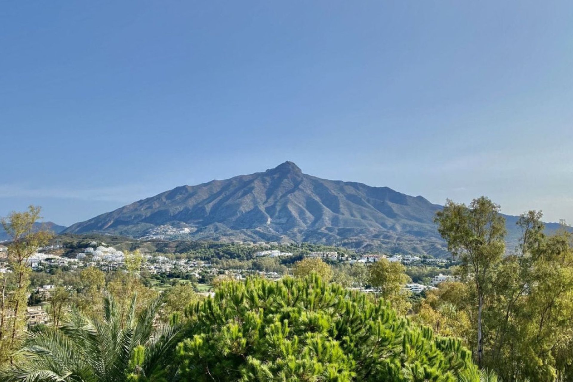 Resale - Apartment - Middle Floor Apartment - Marbella - Nueva Andalucia