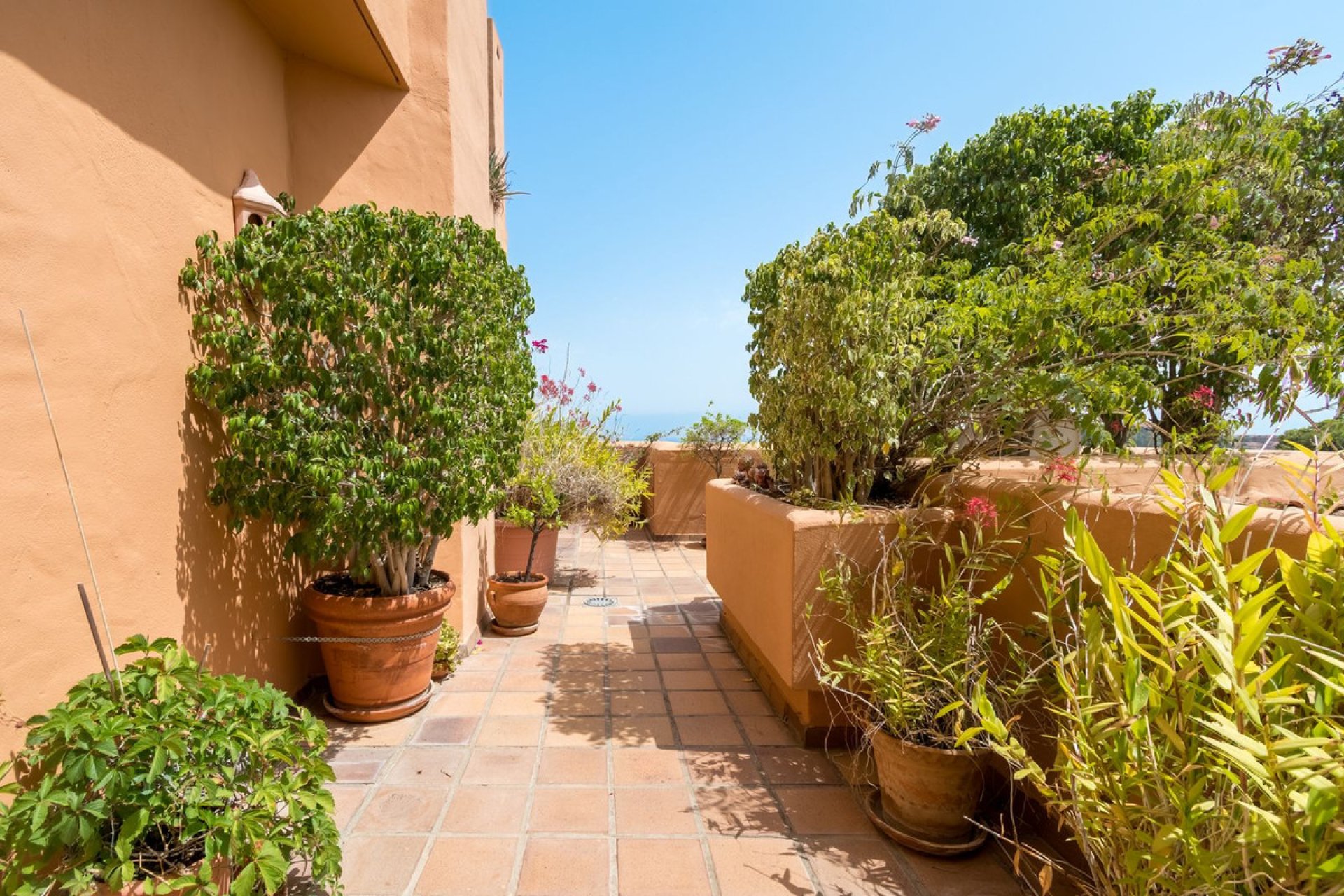 Resale - Apartment - Middle Floor Apartment - Marbella - Nueva Andalucia