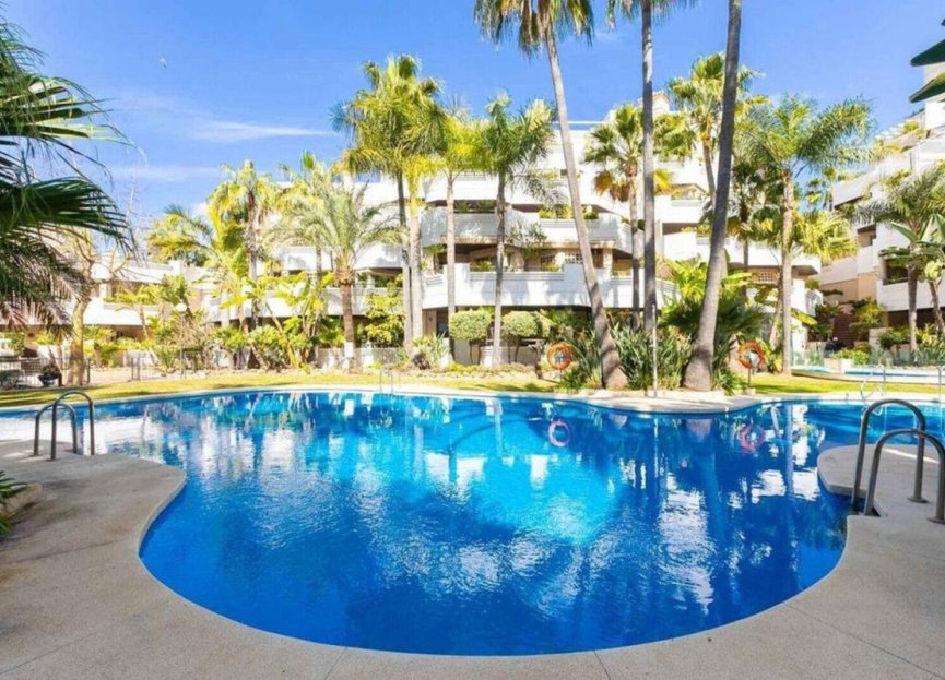 Resale - Apartment - Middle Floor Apartment - Marbella - Nueva Andalucia