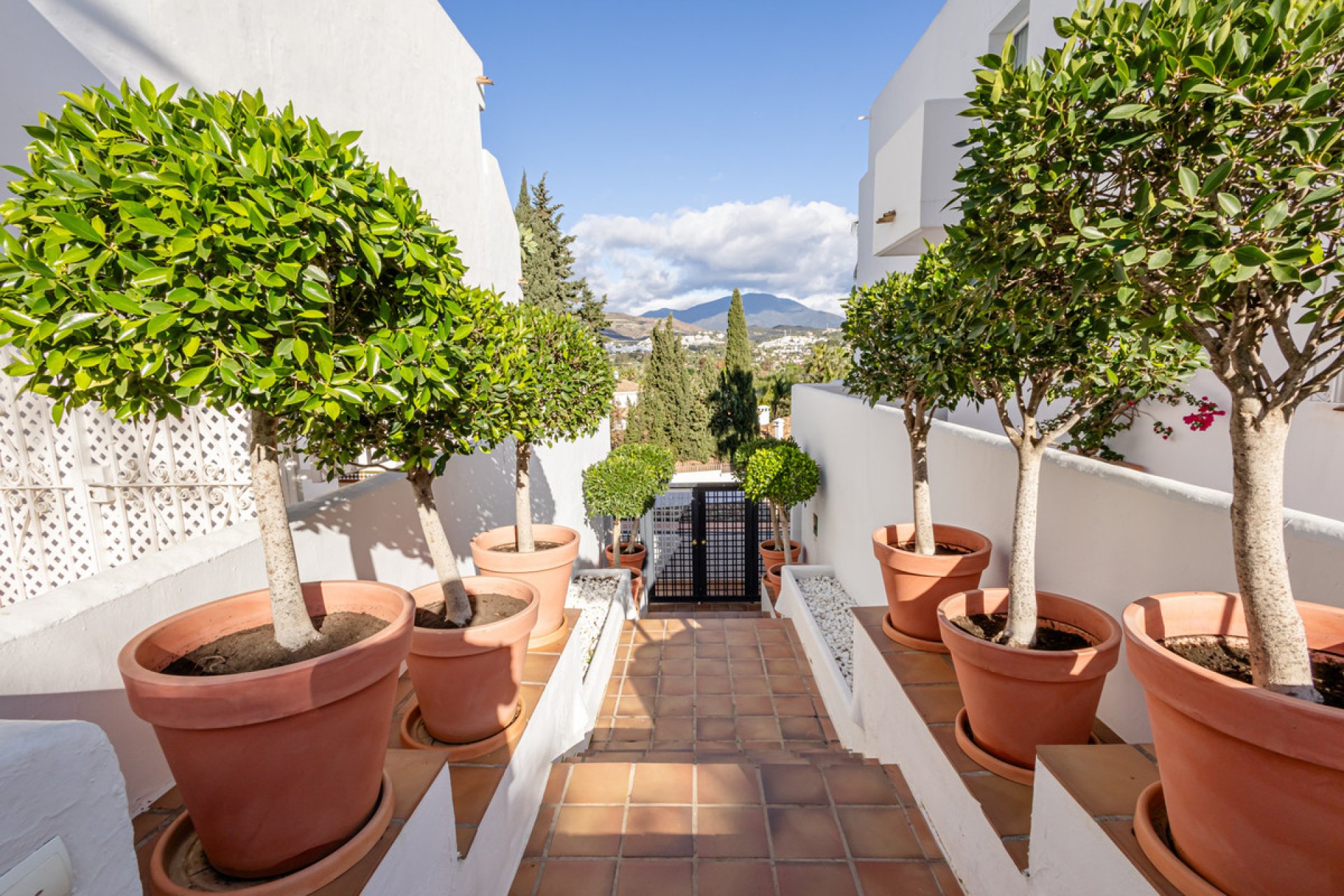 Resale - Apartment - Middle Floor Apartment - Marbella - Nueva Andalucia