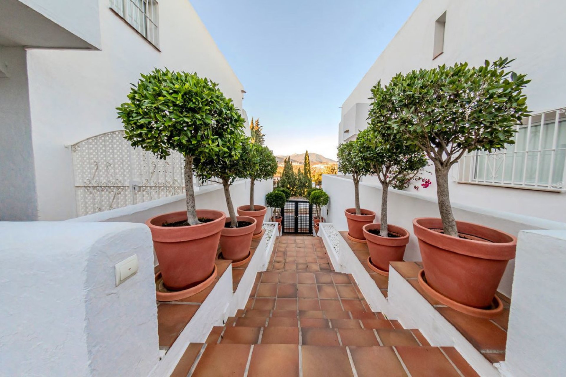 Resale - Apartment - Middle Floor Apartment - Marbella - Nueva Andalucia