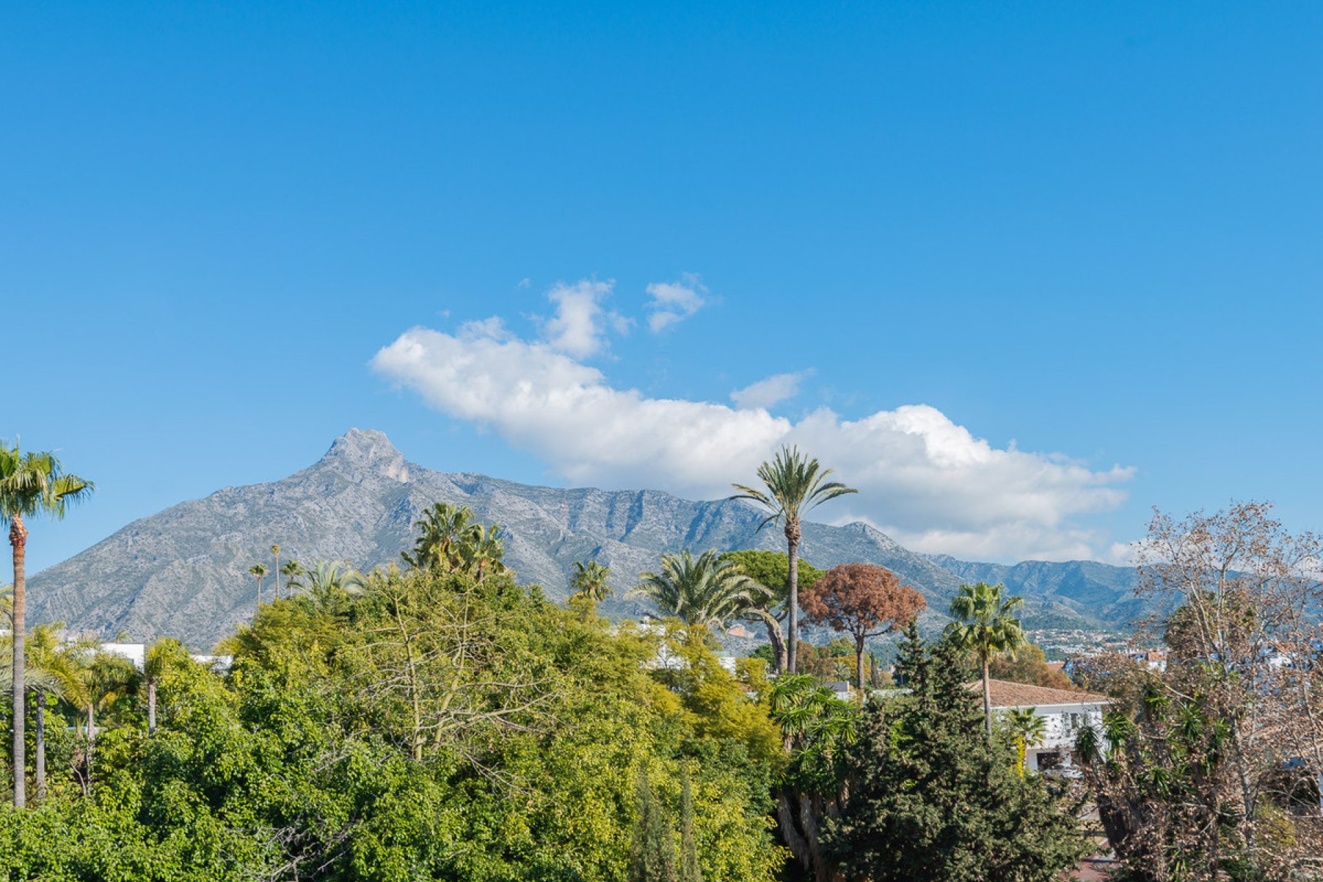 Resale - Apartment - Middle Floor Apartment - Marbella - The Golden Mile