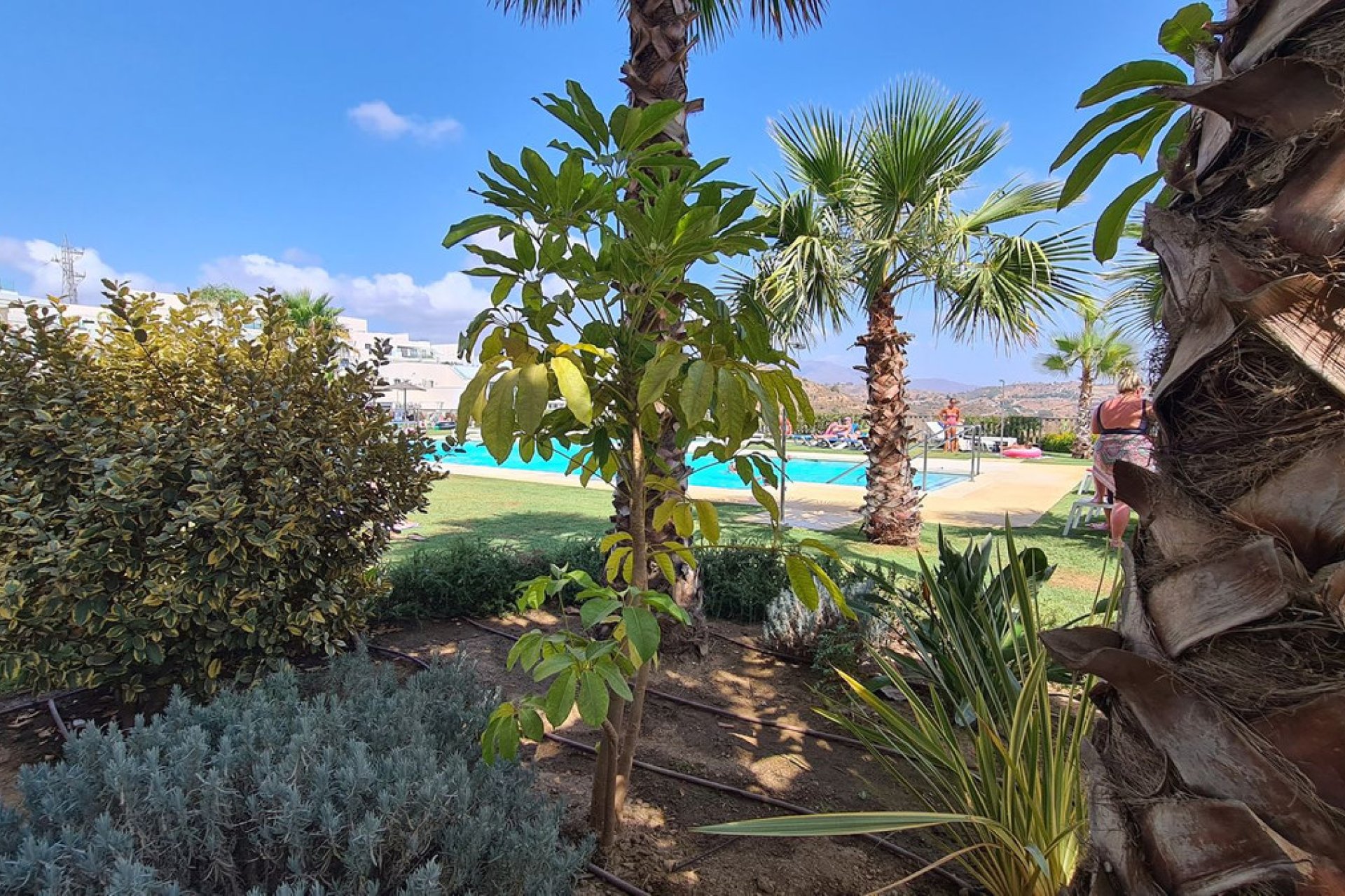 Resale - Apartment - Middle Floor Apartment - Mijas - La Cala De Mijas