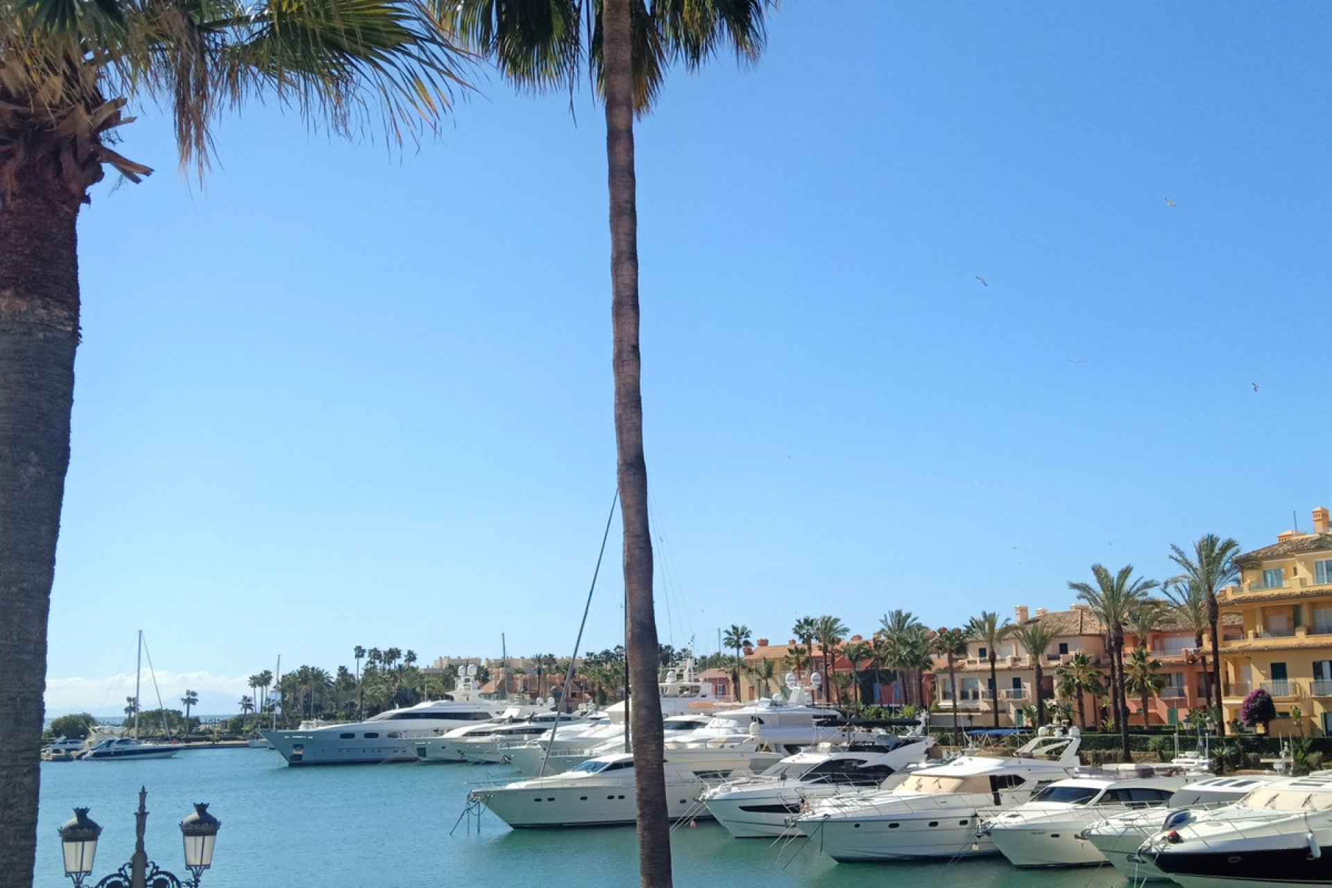 Resale - Apartment - Middle Floor Apartment - Sotogrande Marina